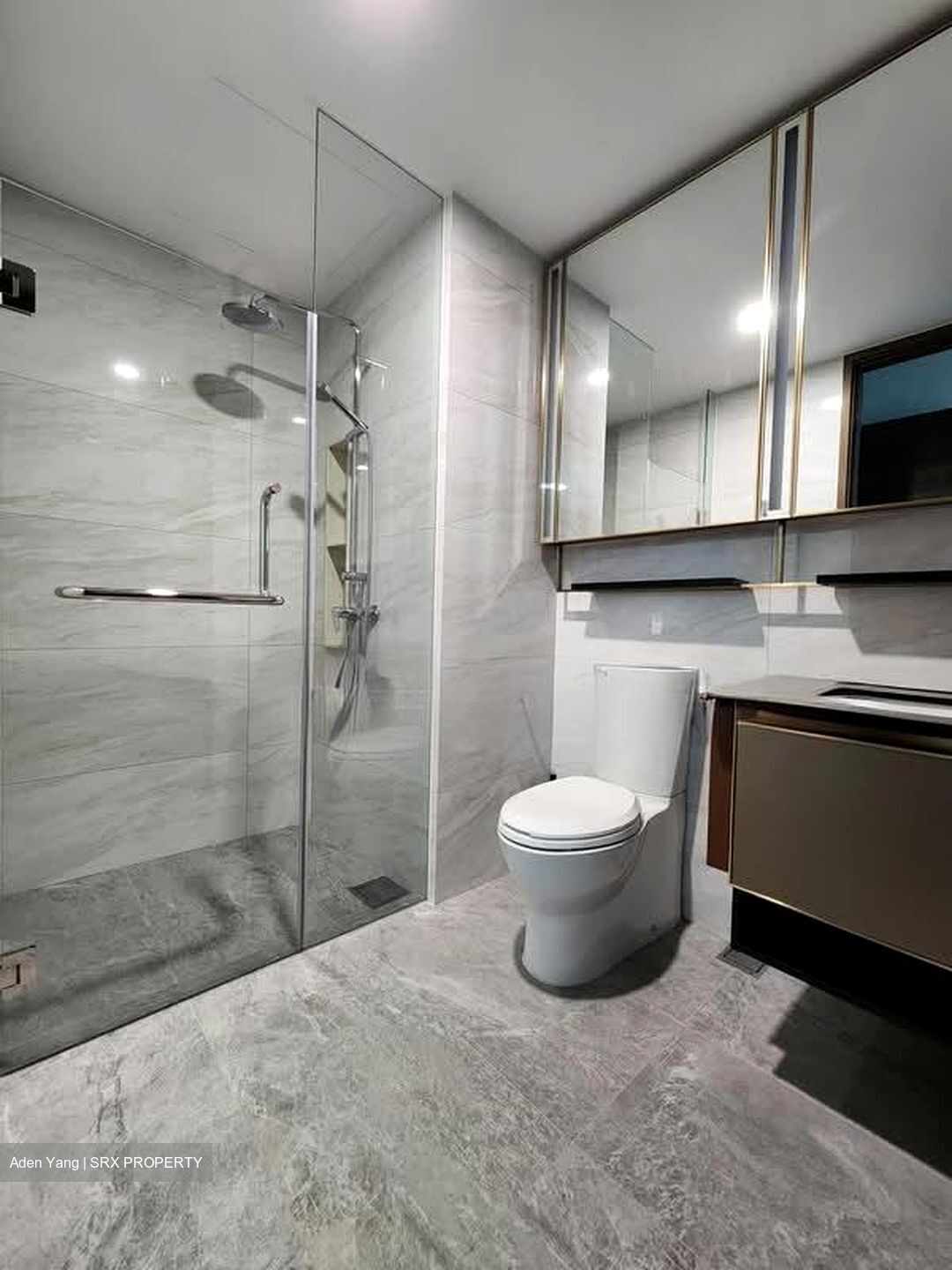 Normanton Park (D5), Apartment #586065641